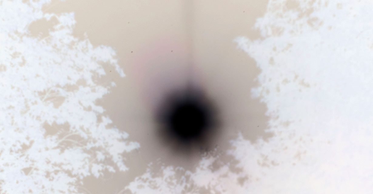 1-slideshow-Black-Velvet.72-copy